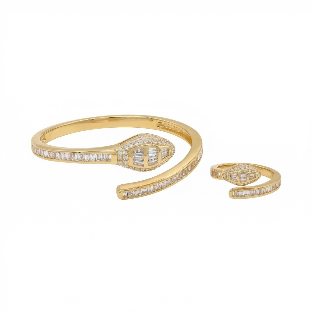 Snake Wrap Bracelet & Ring Set
