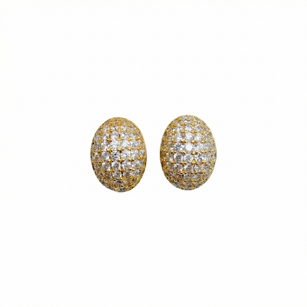 Shimmering Oval Earrings