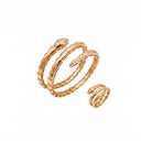 Bvlgari Serpenti Inspired Bracelet & Ring Set