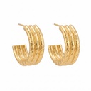 Sculpted Twisted Open Hoop Earrings
